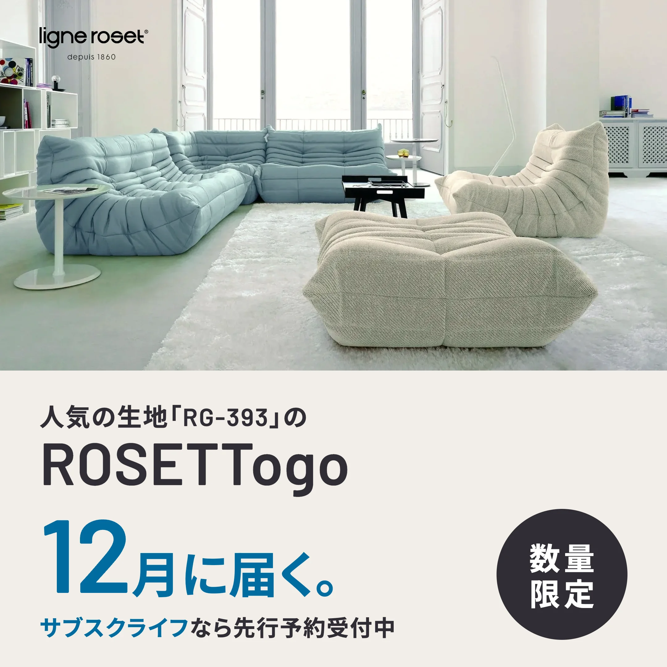 【12月初旬出荷分 先行予約】ロゼトーゴソファ | 家具・家電のサブスク通販【subsclife by TOKYOROOMS (サブスクライフ)】
